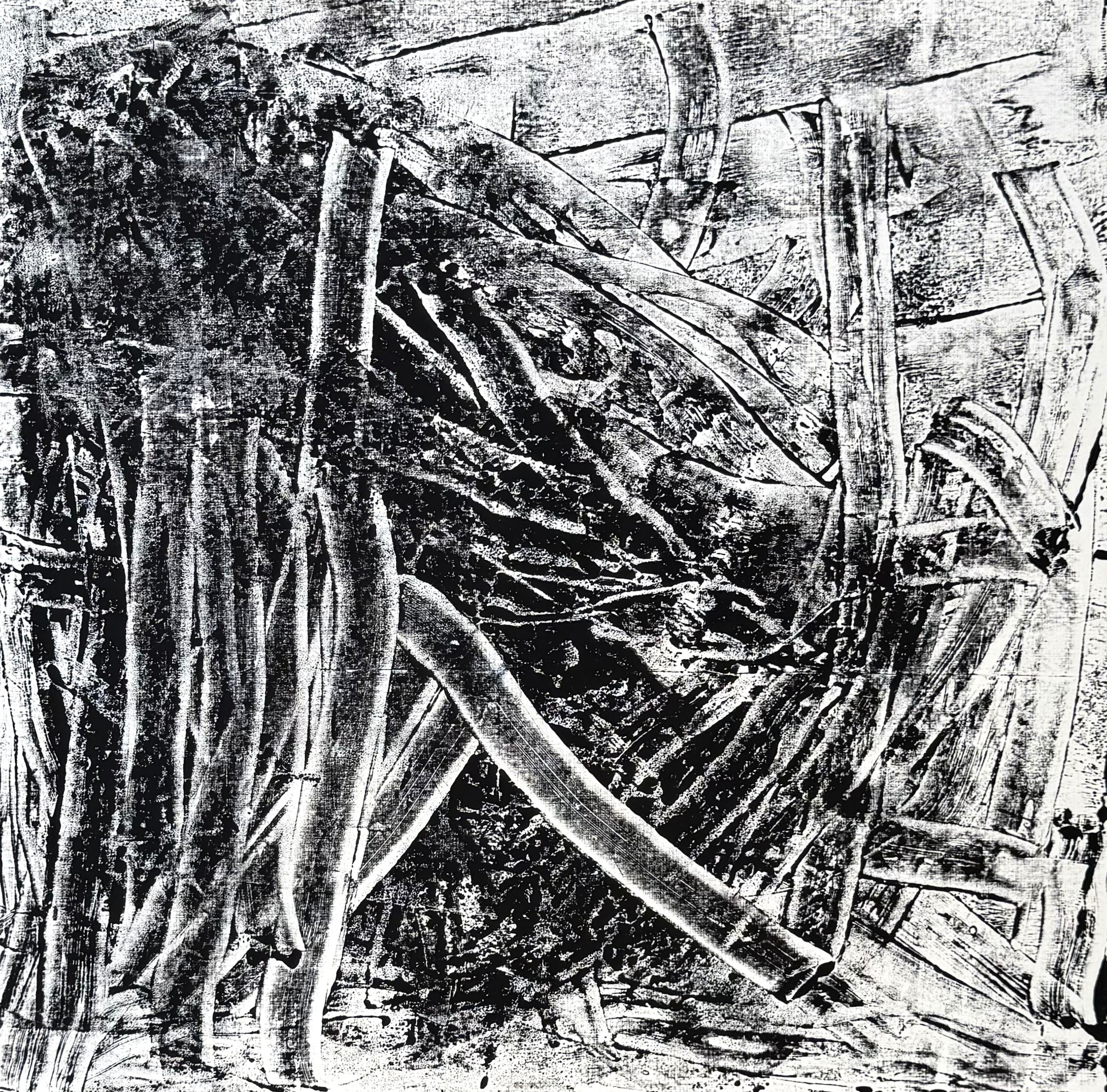 Forest Depths