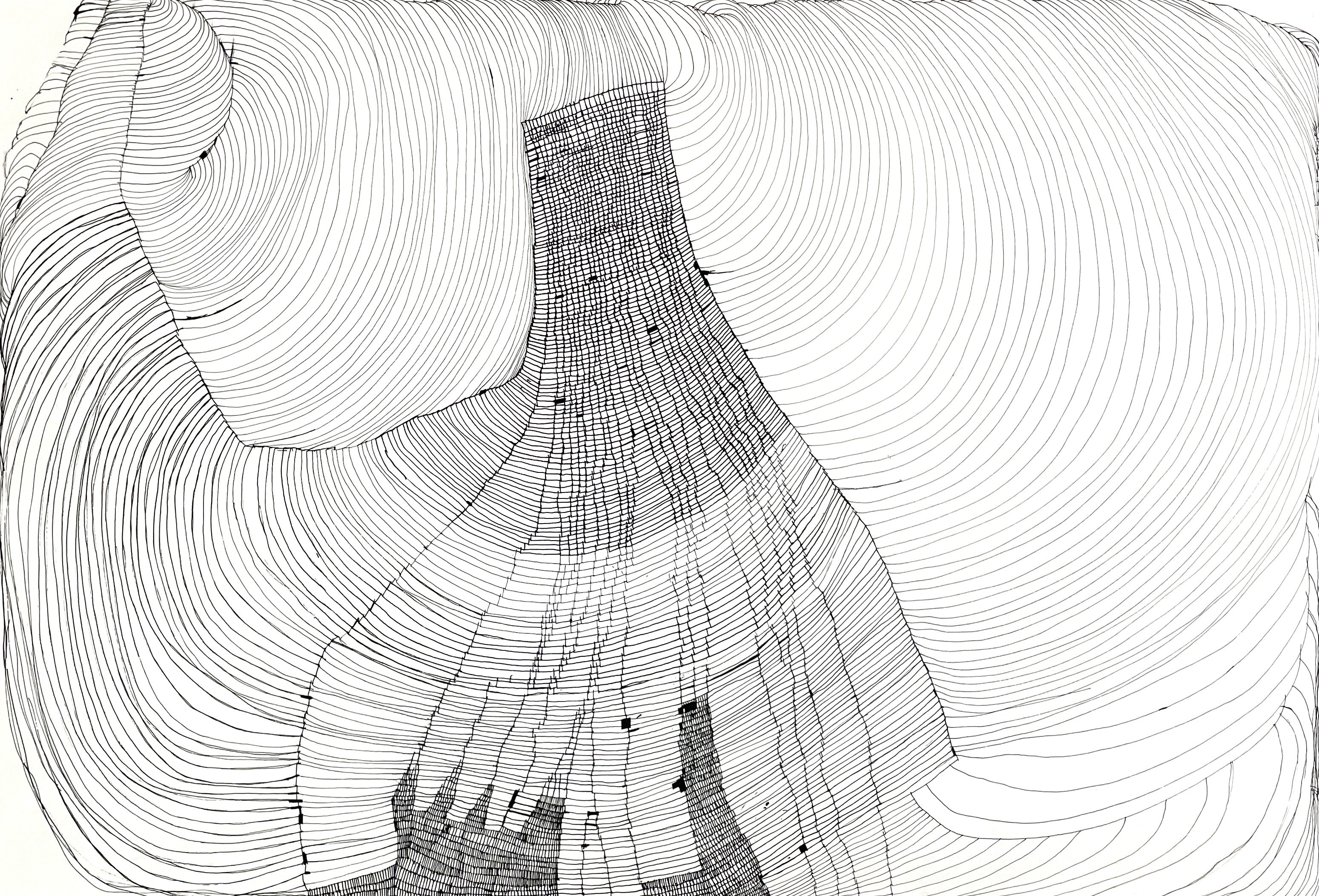 Emergent Patterns