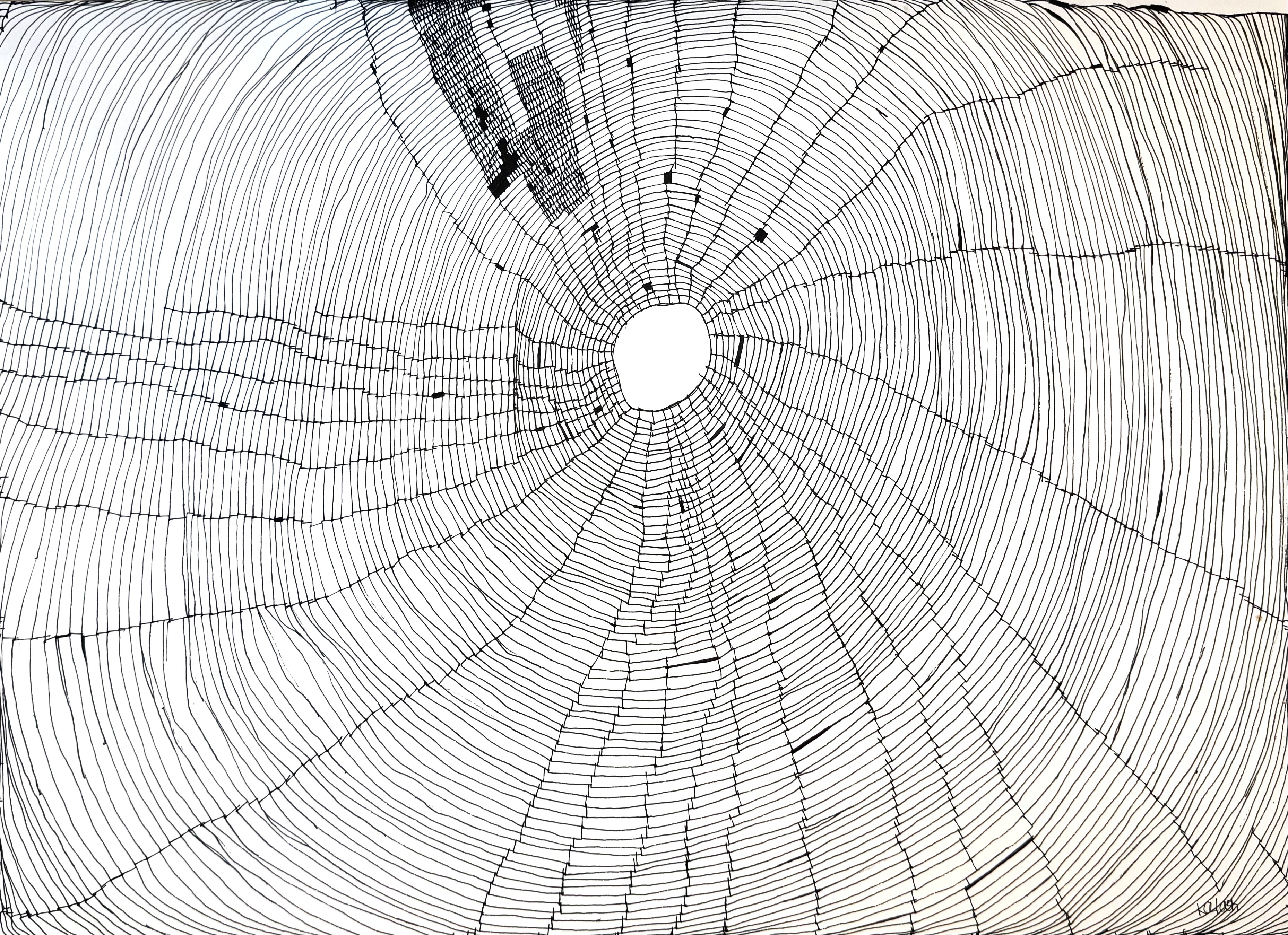 The Infinite Thread