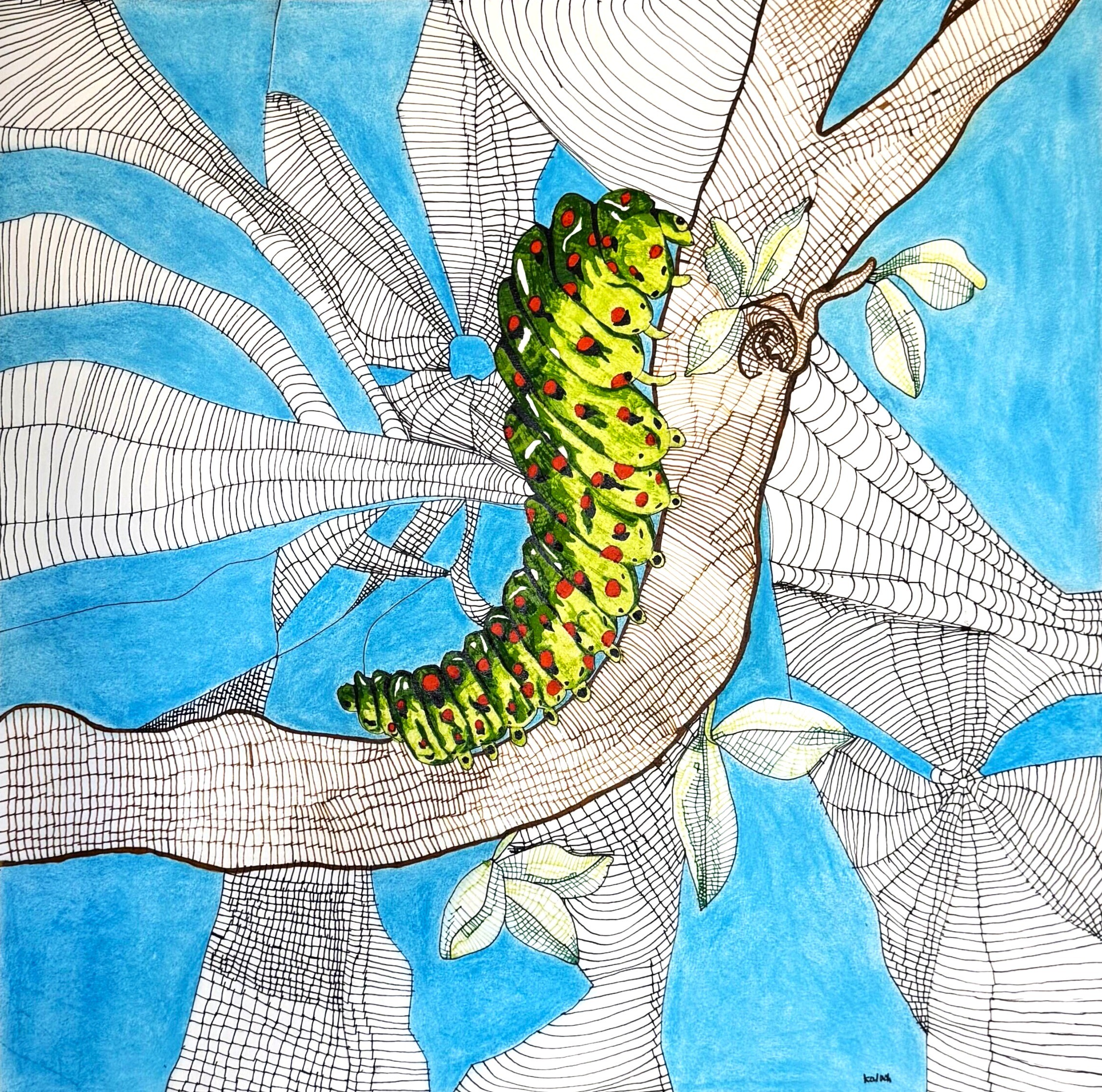 A Moment of Growth