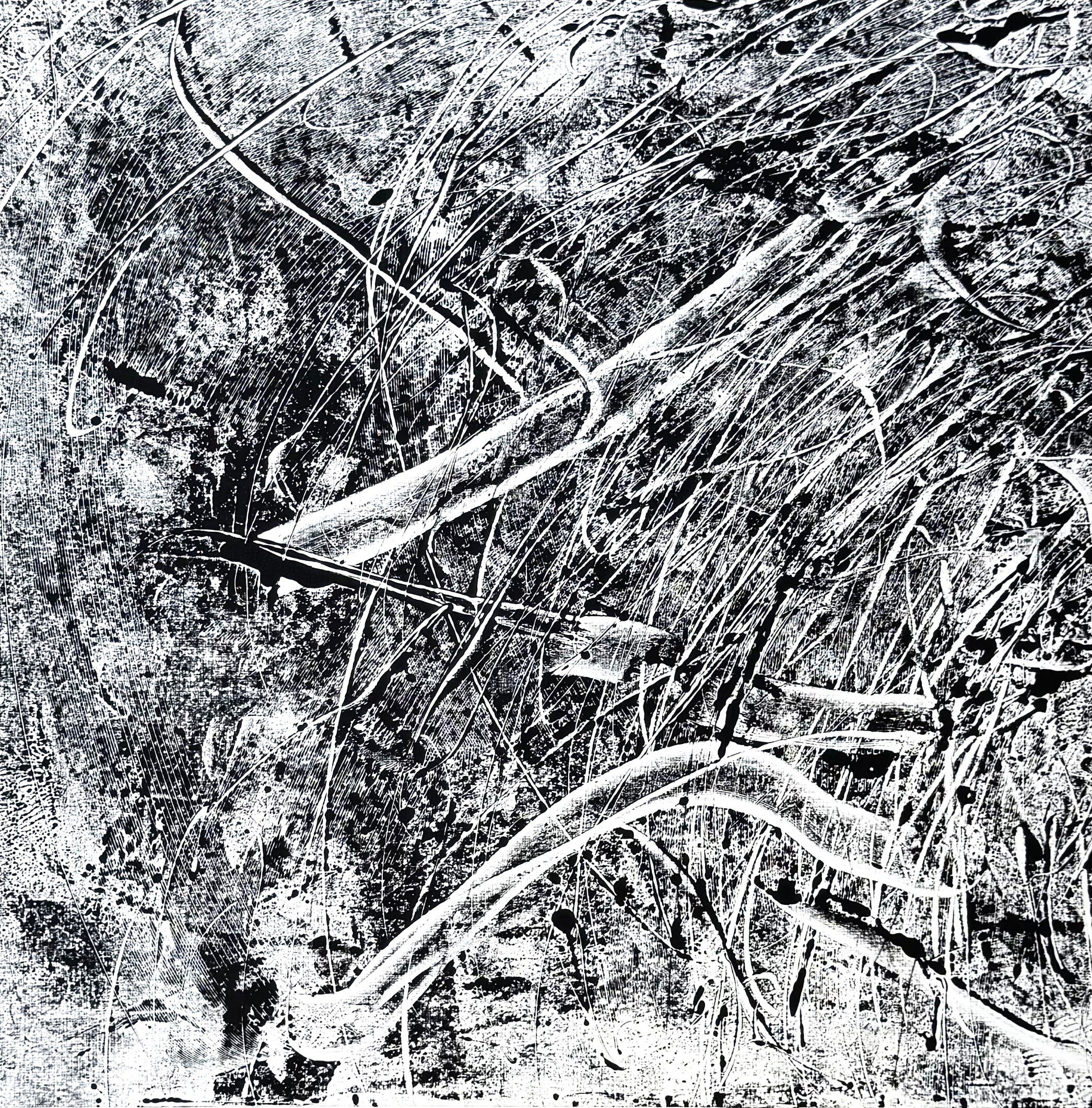Shattered Light