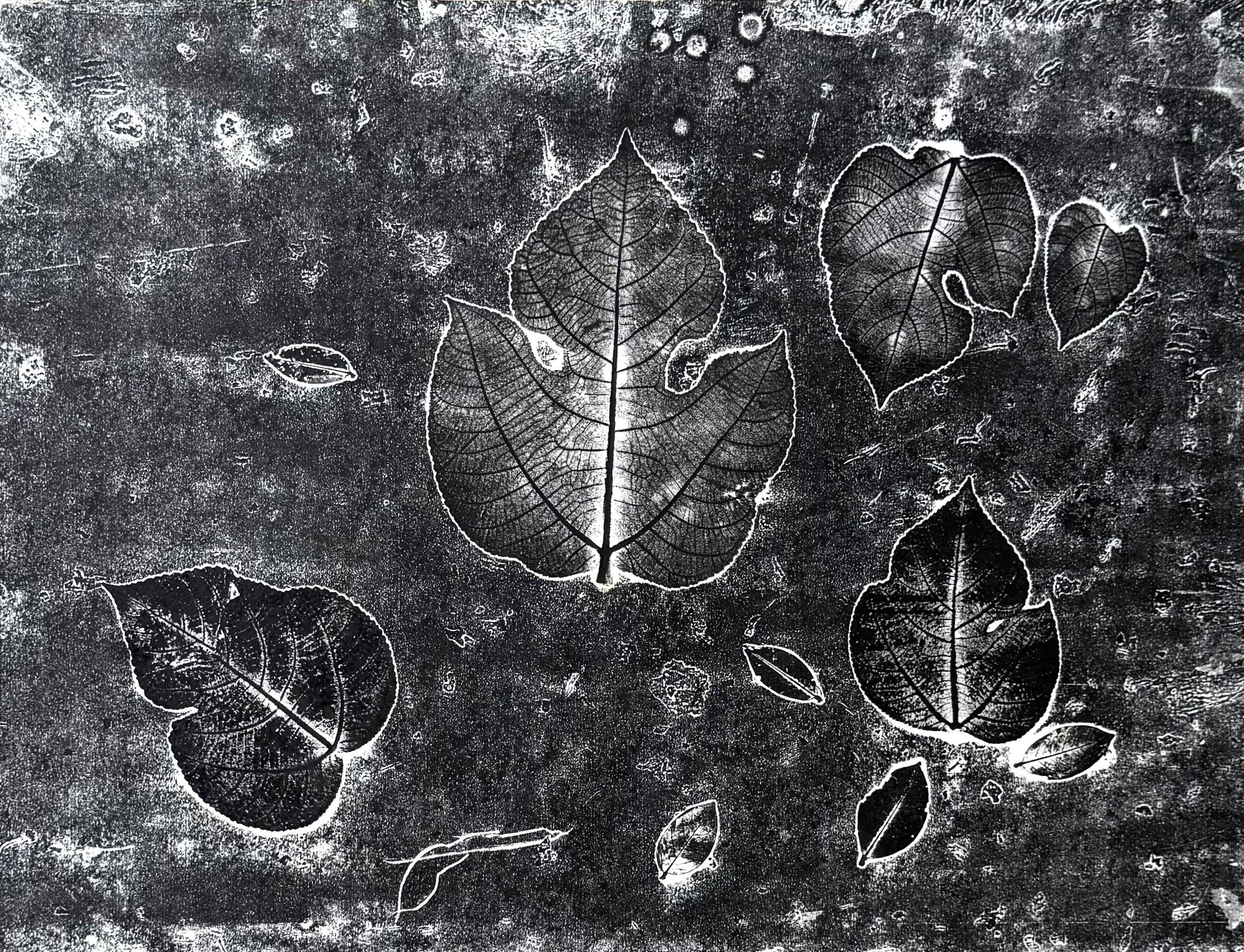 Nature's Imprint
